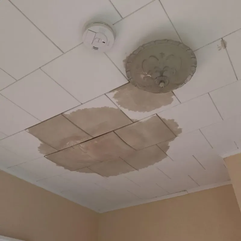 Ceiling Water Damage Repair in Brickerville, PA