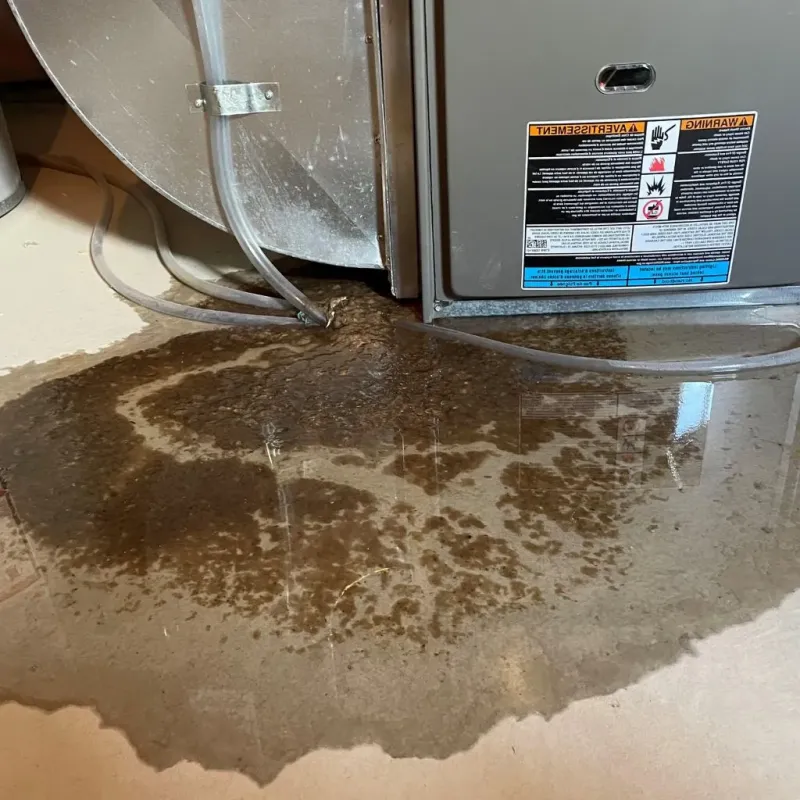 Pipe Burst and Leak Restoration in Brickerville, PA