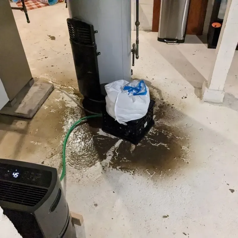 Sewage Backup Cleanup Service in Brickerville, PA